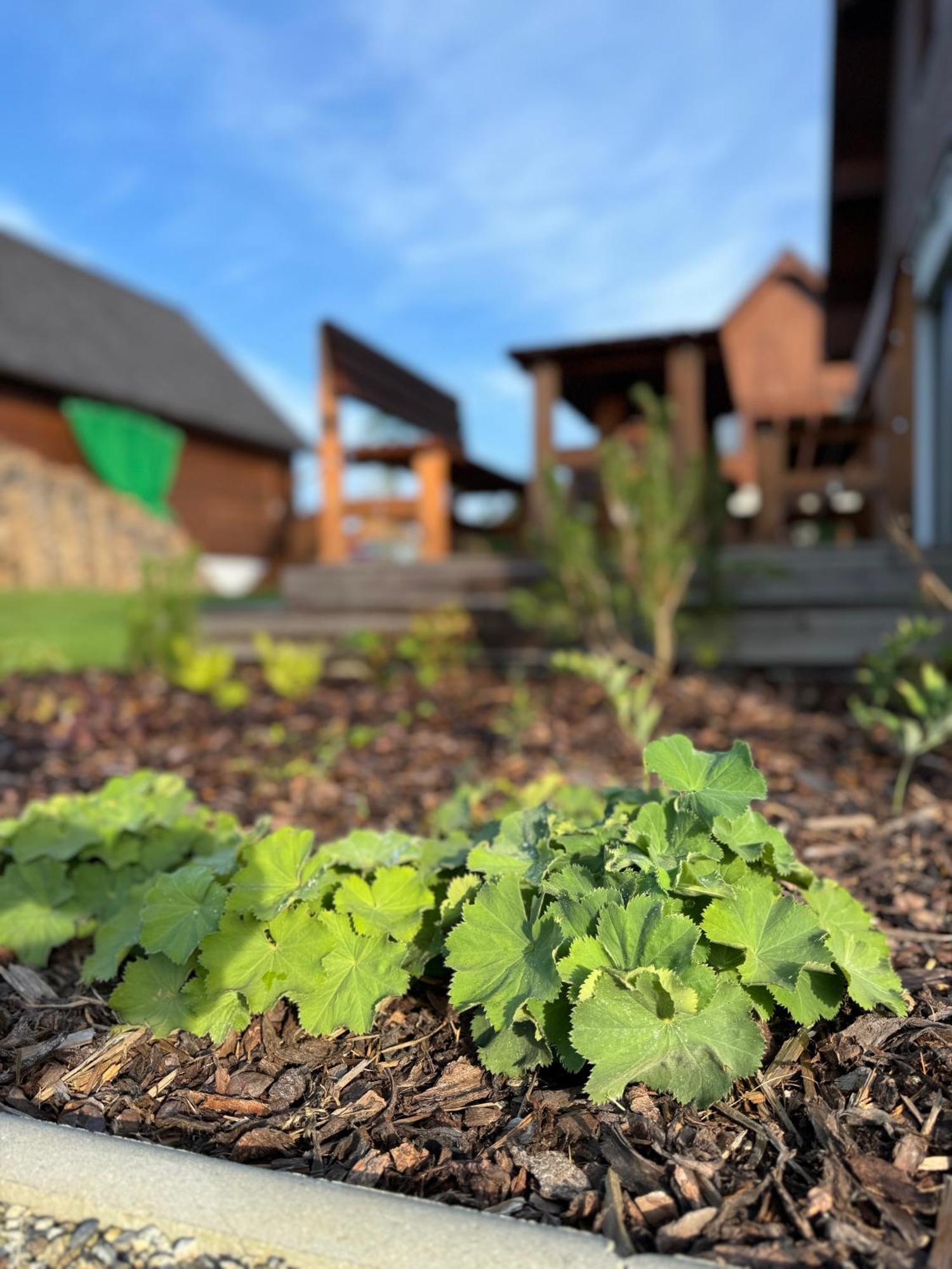 Apartmány Černý vlk, Borová Lada Esterno foto